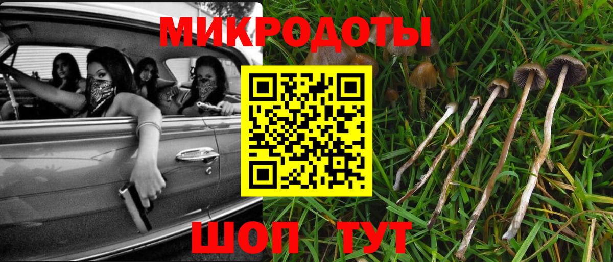 Галлюциногенные грибы ЛСД Ревда