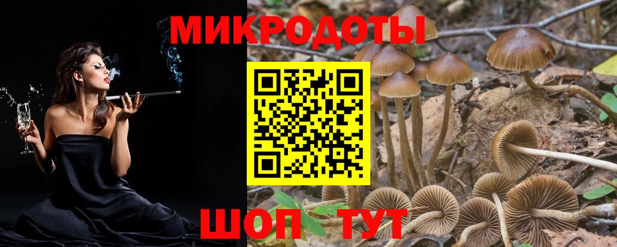 купить  цена  Галлюциногенные грибы Magic Shrooms  Вход с VPN  Ревда 